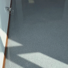 11月6日(1) 11月6日(1)