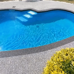 9月21日(1) 9月21日(1)